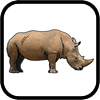 How to draw a Rhino