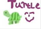 Turtle :)