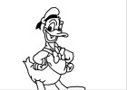 drawing donald duck!