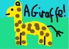 A Giraffe!