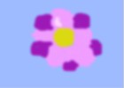 bg purple flower