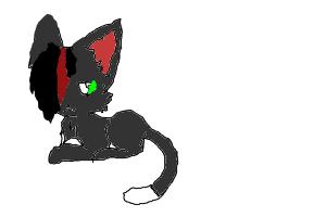 DONT STEAL ? NIGHTSTAR =KOPAS