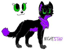 nightstar important dont steal