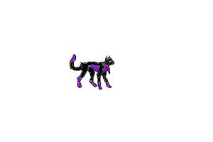 Nightstar /cat dont ssteal