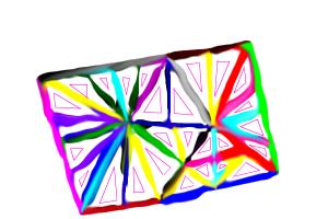 Color Pattern