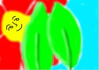 flower 2