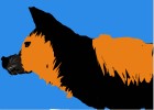 german shepherd