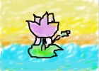 lotus in sunset