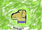 Dog For President