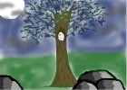 Owl in a tree at night