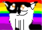 My cat Patches