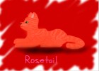Rosetail