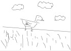 bird