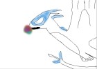 Lugia