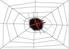 Spider on web