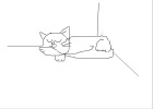 sleeping cat