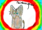 rainbowpaw