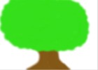 My Tree