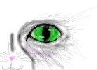 Really Fast Cat Eye Sketch