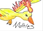 moltres from pokemon