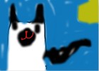 kitty