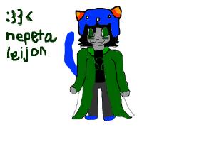 :33 < nepeta leijon