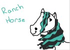 Random ranch horse
