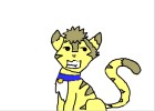 my kitty