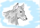 Detailed wolf 3