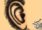 ear