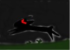 The Black Rabbit Of Inle
