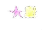 how to draw star fish and sponge