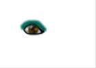My eye color and eye shadow LOL~