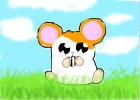 hamtaro eating seed