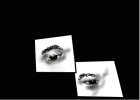 my eyes
