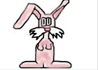 pink cute bunny
