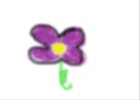the flower