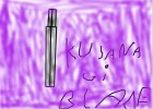 kusanagi blade