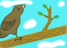 bird singnig on a branch