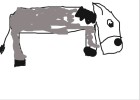 Donkey