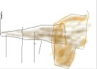LION LEO