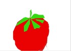 My Tomato!!