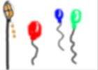 balloons and ! kite [!]=1