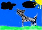 cats at the daytime