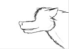 Wolf Grrriiiinnn