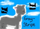 Graystripe