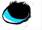 Eyeball