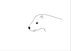Polar Bear Head