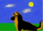 German Shepherd Dog