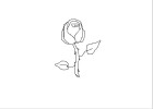 Rose Outline